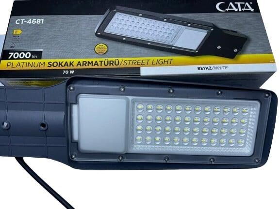 CT-4681 80W SOKAK ARMATÜRÜ